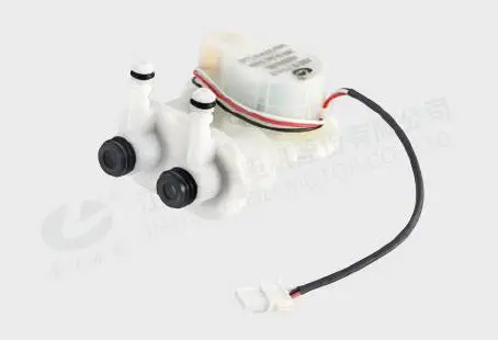 Two-position Metering Pump